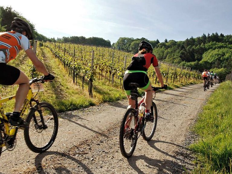 Fahrradurlaub an der Mosel FahrradFerien.de